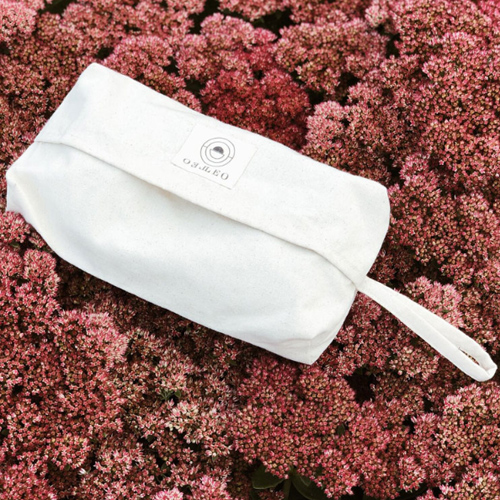 LEOLEO[]Wet Wipe Pouch_Ƽ Ŀġ