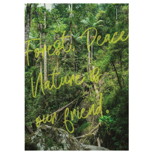 [Ƽ̺]Ʈ ǽ Forest, Peace 