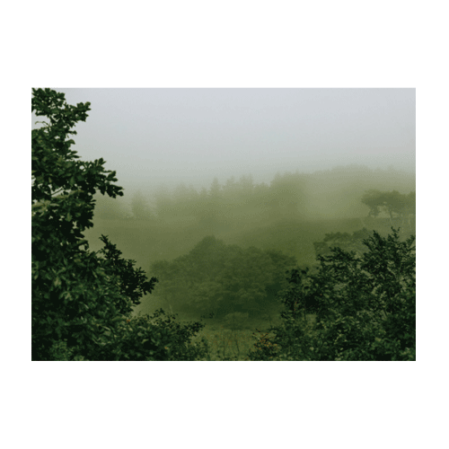 [Ƽ̺] ħ Dawn of Daegwallyeong 