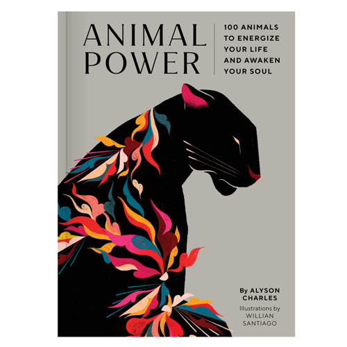 [북스타일]Animal Power