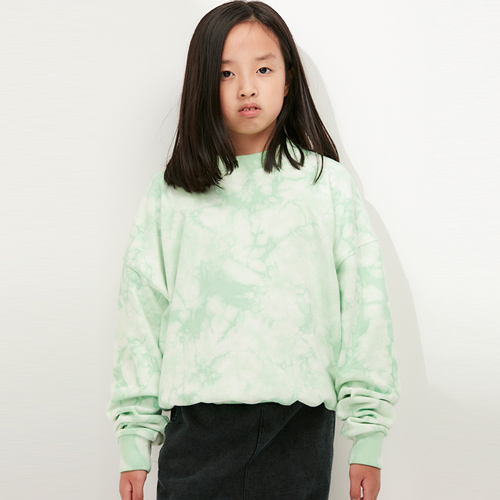 22fw[ڵĵ]HEAVY TERRY SWEATSHIRT (CLOUD GREEN) 