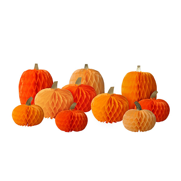 [޸޸]Honeycomb Pumpkins_Ƽٹ̱-ME223929