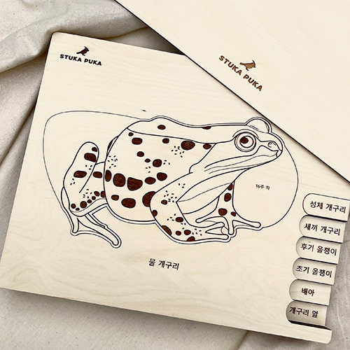 [īǪī]A Little Frog In A Big Pond   ( )