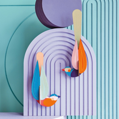 [Ʃ]paradise bird, muna