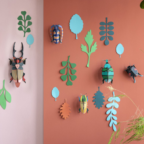 [스튜디오루프] wall of curiosities, beetle antiquary