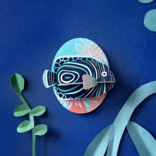 [Ʃ]emperor angelfish