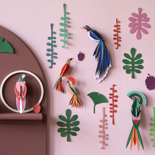[Ʃ]wall of curiosities, bird observer
