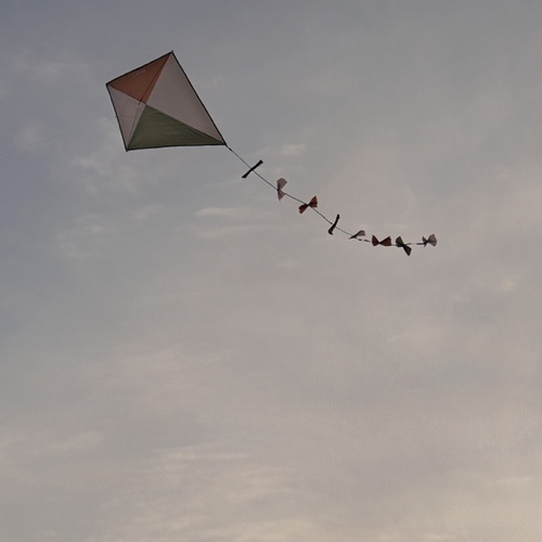 [Ʃ ø] PLIET KIDS KITE PREODER 峭 