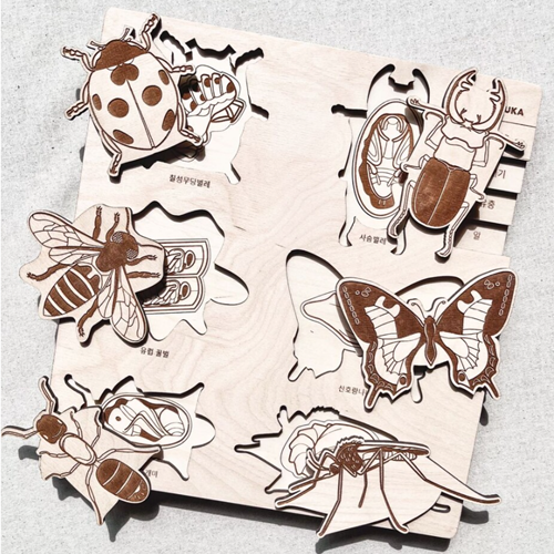 [īǪī]Bug's Life ( )