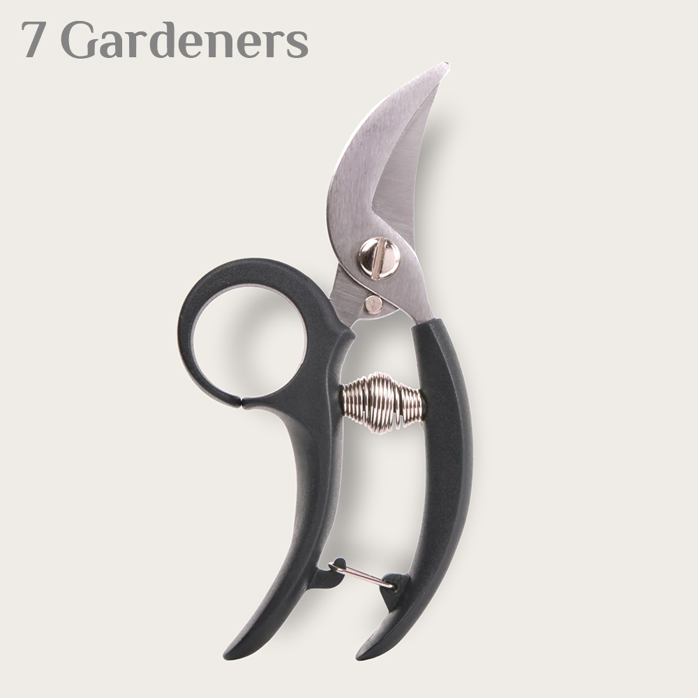 [찡ʽ]   