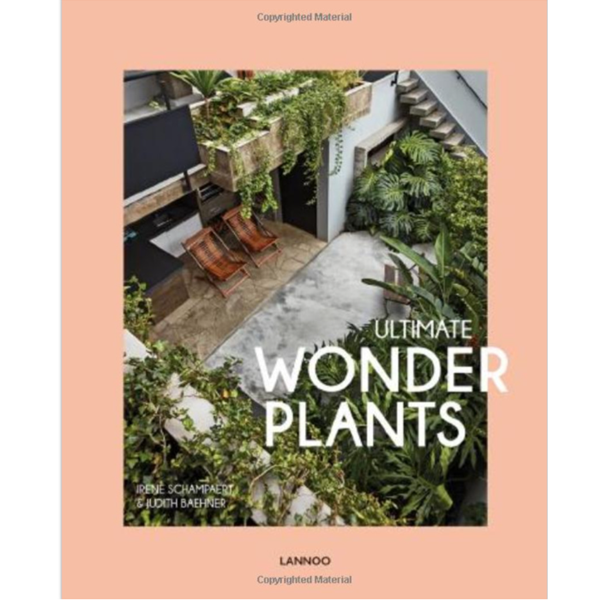 [ϽŸ]Ultimate Wonder Plants: Your Urban Jungle Interior-1684