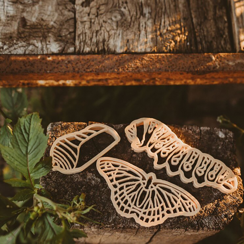 [ŲũƮ]Butterfly Lifecycle Eco Cutter Set