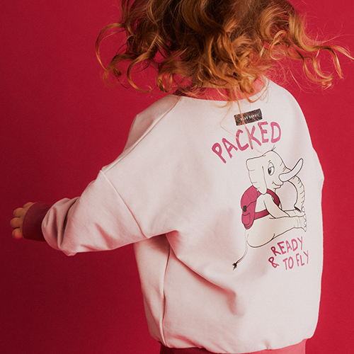 AW23[]ELLIE LINE SWEATSHIRT_ / LIGHT PINK-DSCD3ELM2011LPK