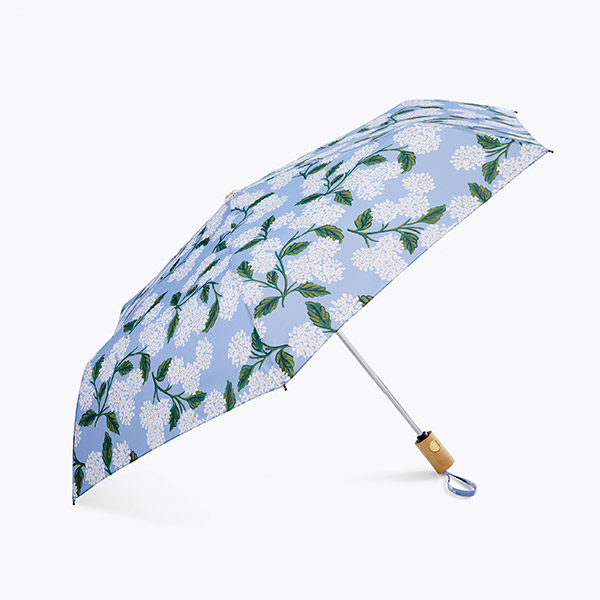 []HYDRANGEA -RP00ANUMBB006NON