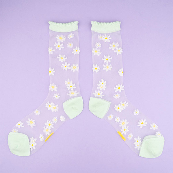 AW23[]Daisy Sheer ý 縻-SU00KNSOC0075DSR