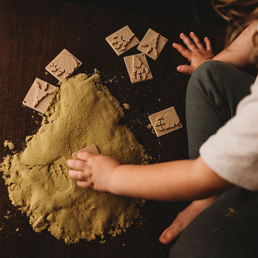 [ŲũƮ]Dinosaur Foot Print Eco Stamp Set