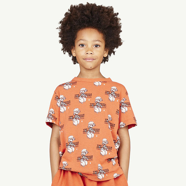 ũ ĸ[Ÿ]Recycled Red Poodle Rooster Ƽ-TA23KATSH0001RED