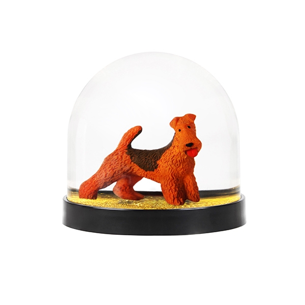 [Ŭ]Snow Ball Welsh Terrier_KL20201114