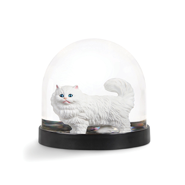 [Ŭ]Wonderball cat_KL20203001