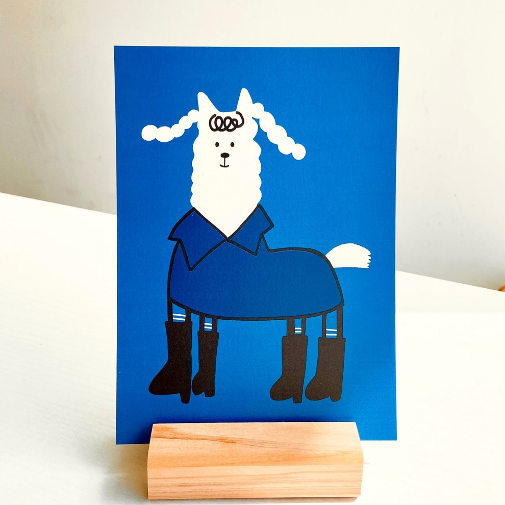 [Ʈ]BLUE ALPACA_ϷƮ 