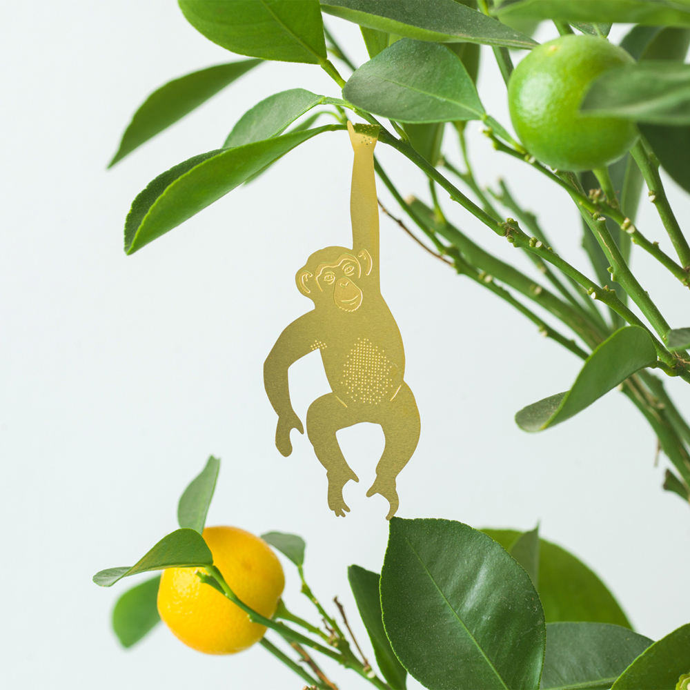 에디크[어나더스튜디오] 식물 데코 플랜트 애니멀 - 침팬지