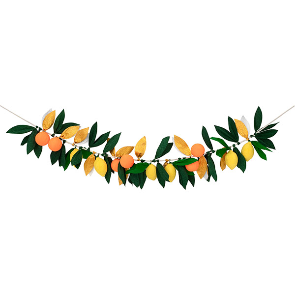 23[޸޸]Citrus Fruit Garland-ME223560
