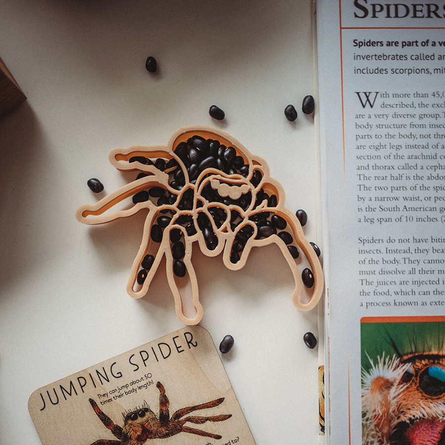 [ŲũƮ]Jumping Spider Eco Cutter